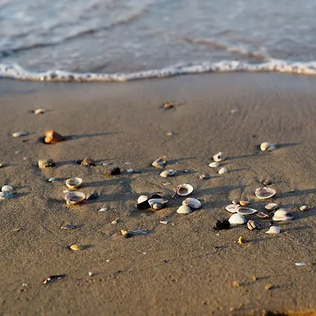 Апартаменти For A Relaxing Бібіоне